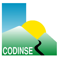 logo-CODINSE